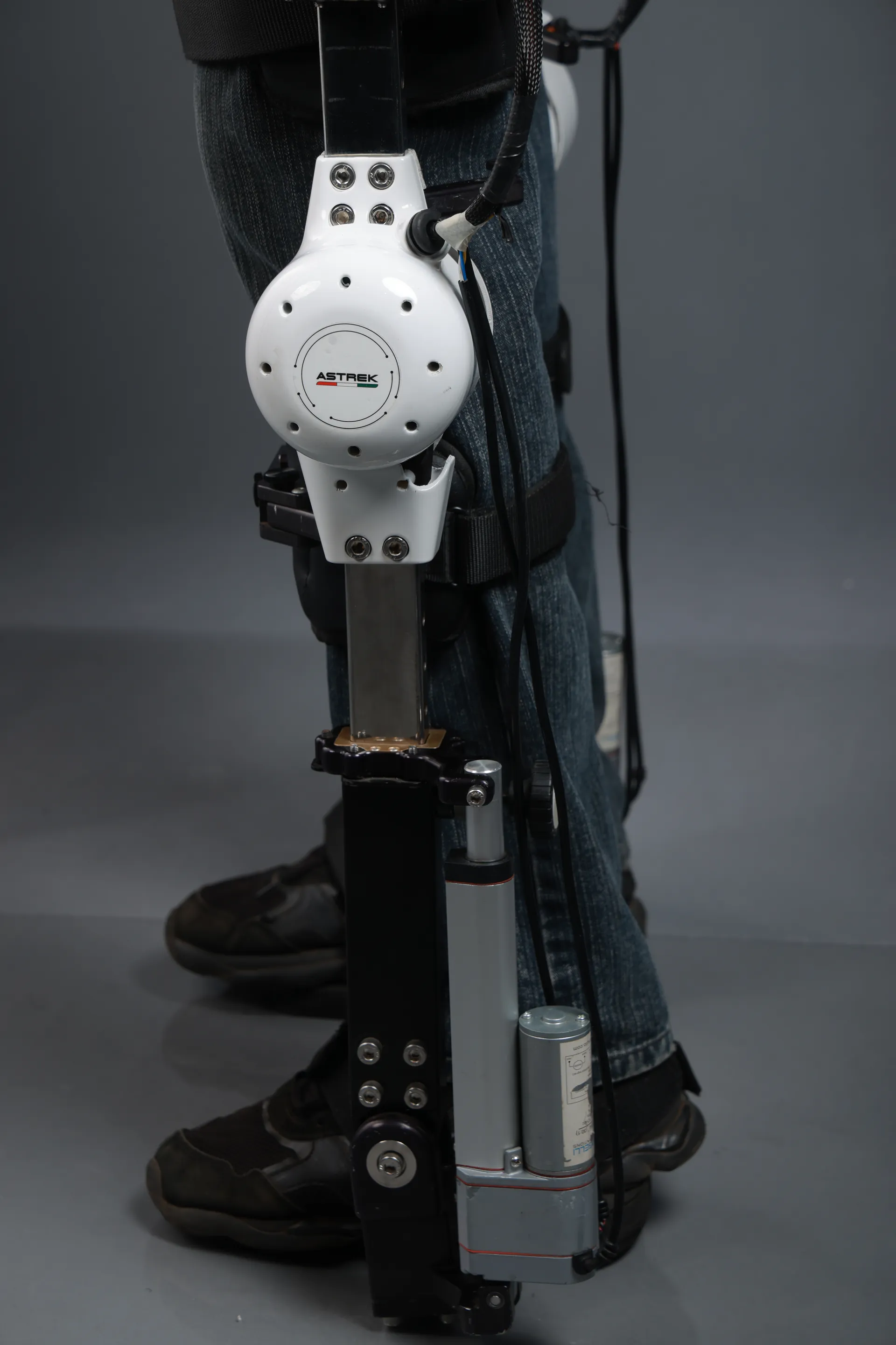 Ankle support